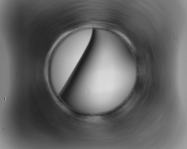X0000099971131200805230956