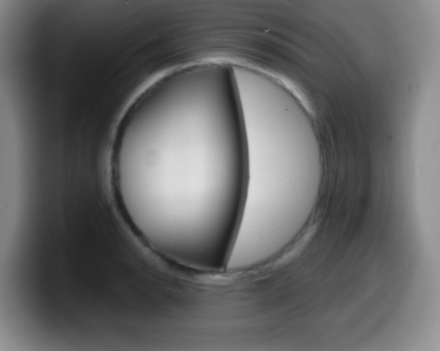 X0000099971134200805230956