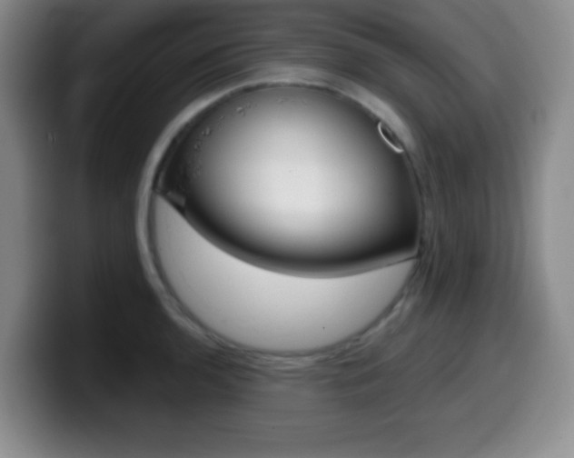 X0000099971136200805230956