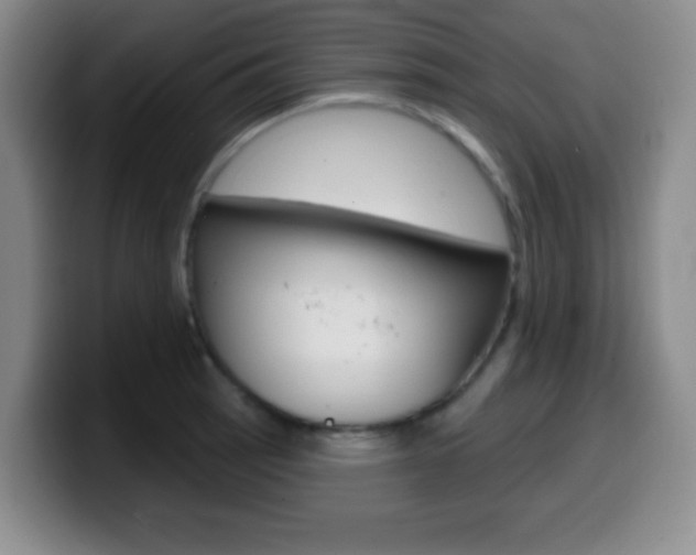 X0000099971137200805230956