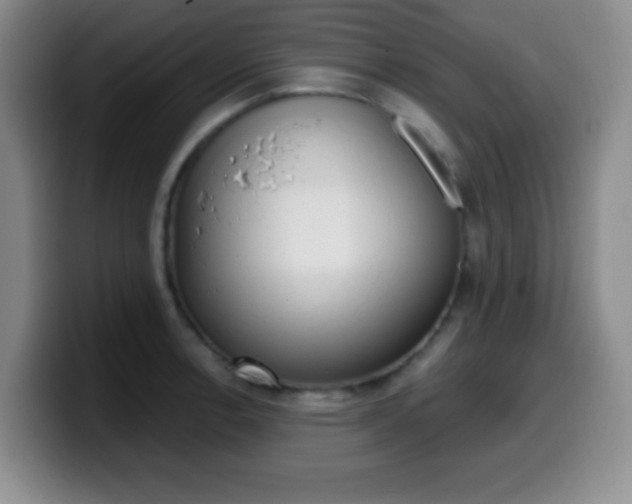 X0000099971138200805230956