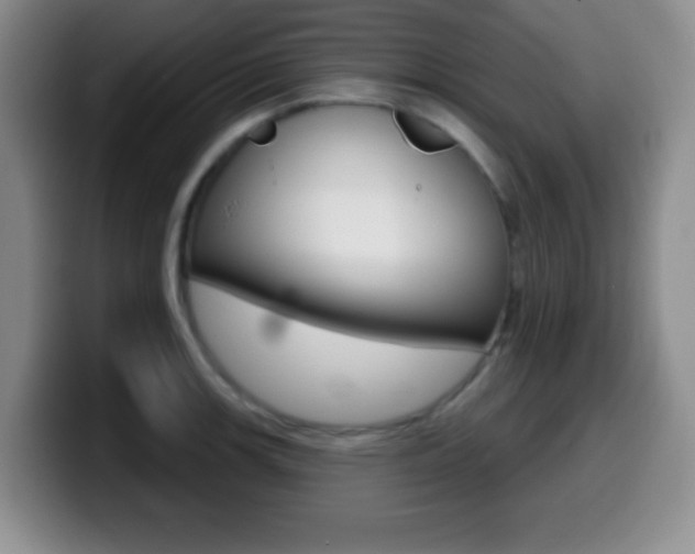 X0000099971139200805230956