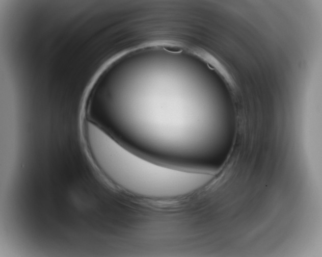 X0000099971140200805230956