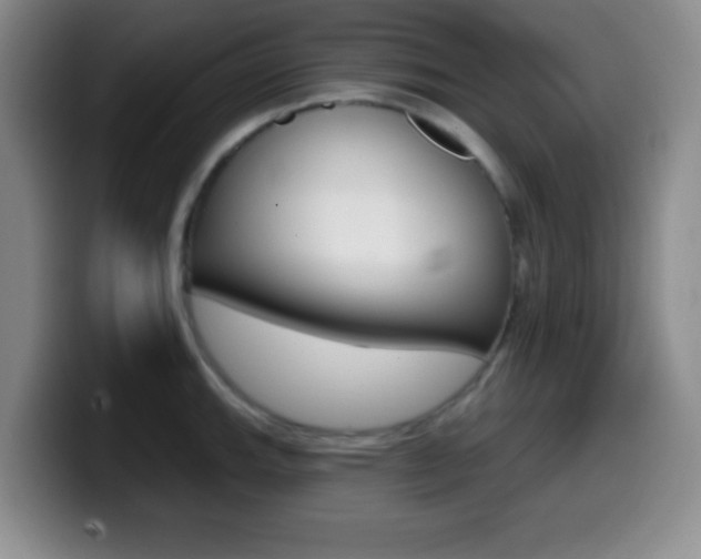 X0000099971143200805230956