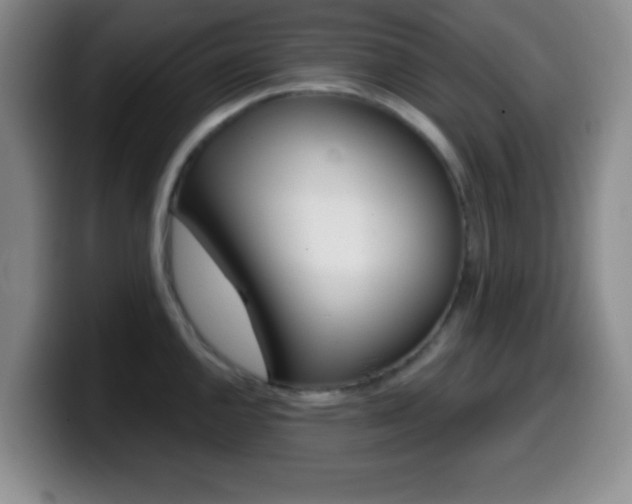 X0000099971144200805230956