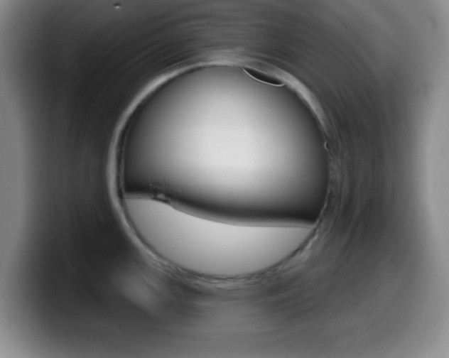 X0000099971147200805230956