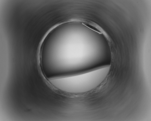 X0000099971148200805230956