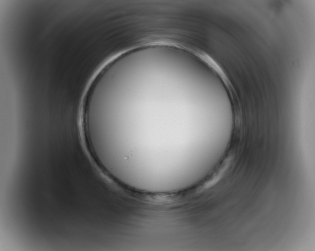 X0000099971149200805230956