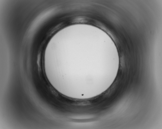 X0000099971150200805230956