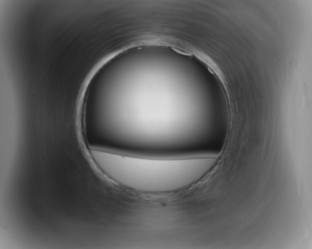 X0000099971152200805230956