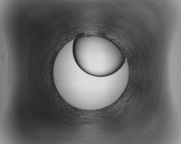 X0000099971153200805230956