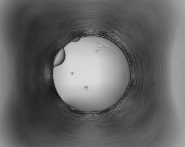 X0000099971154200805230956