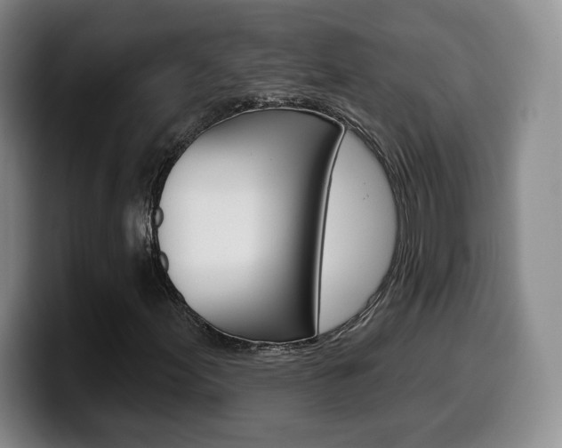 X0000099971155200805230956
