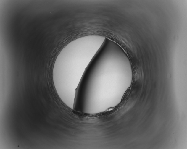 X0000099971156200805230956