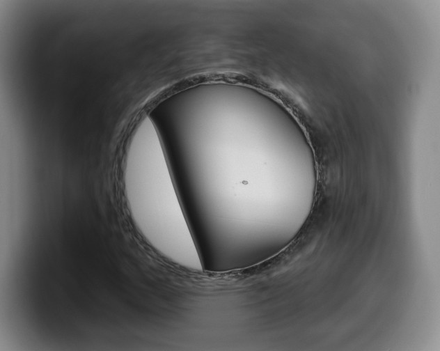 X0000099971159200805230956