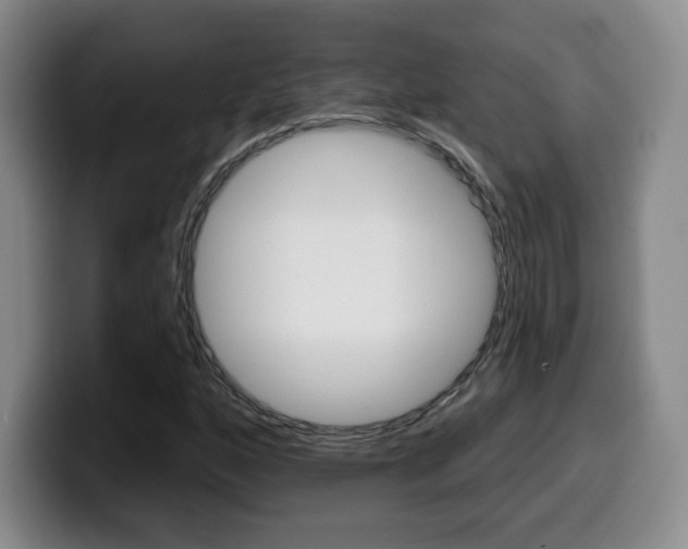 X0000099971160200805230956