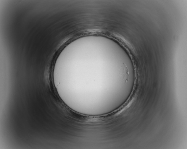 X0000099971162200805230956