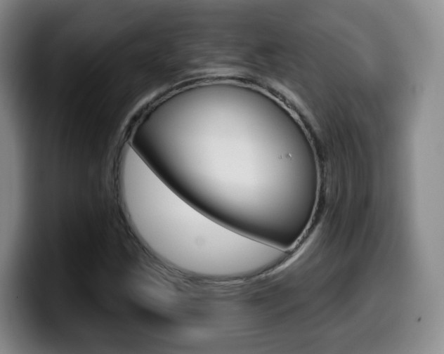 X0000099971163200805230956