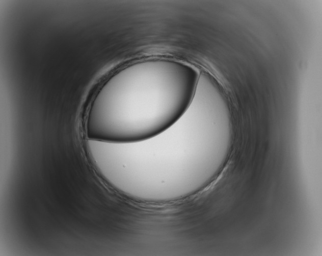X0000099971164200805230955