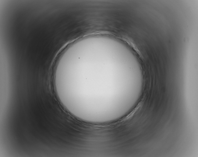 X0000099971165200805230955
