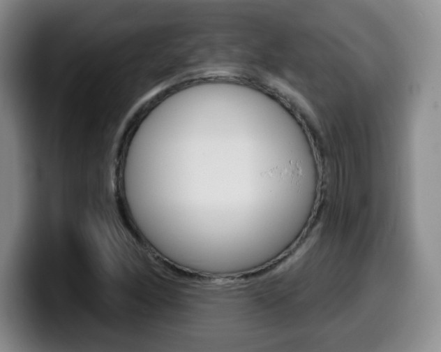 X0000099971166200805230955