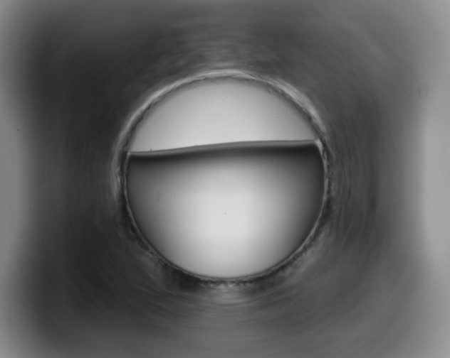 X0000099971167200805230955