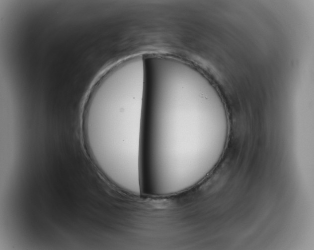 X0000099971168200805230955