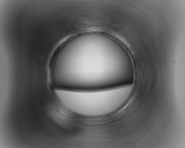 X0000099971171200805230955