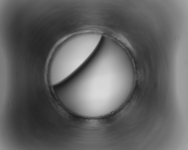 X0000099971172200805230955