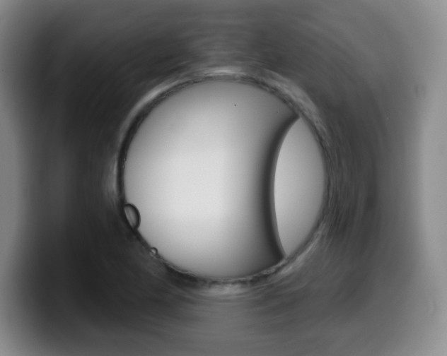 X0000099971174200805230955