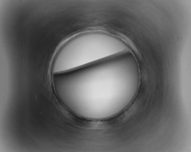 X0000099971176200805230955