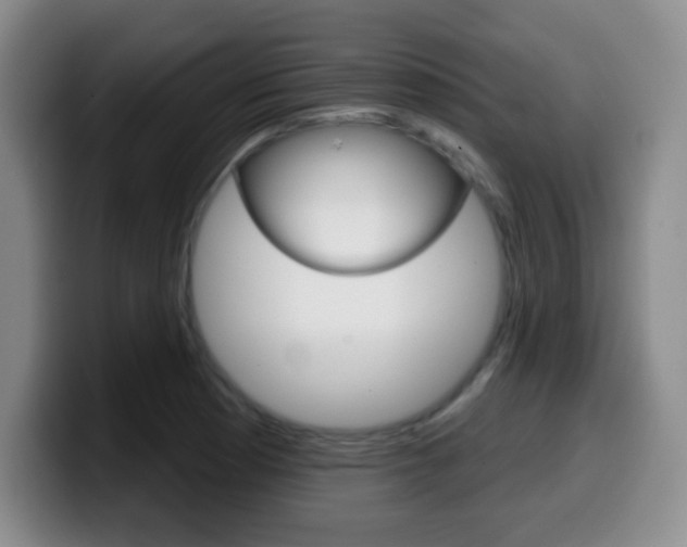 X0000099971177200805230955