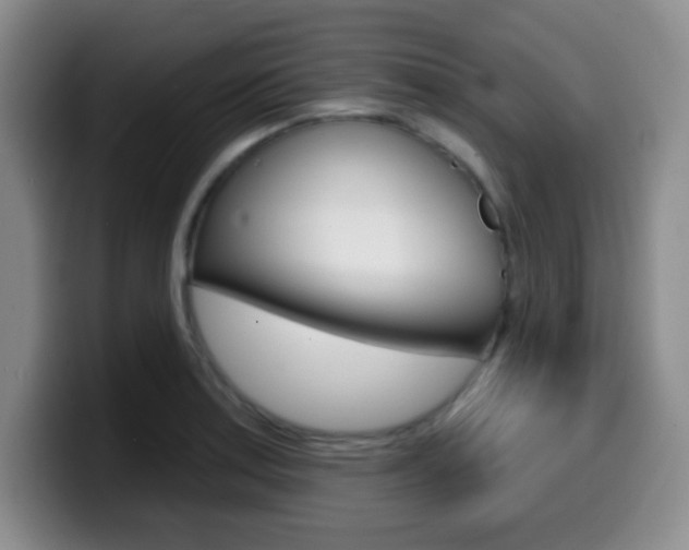 X0000099971179200805230955