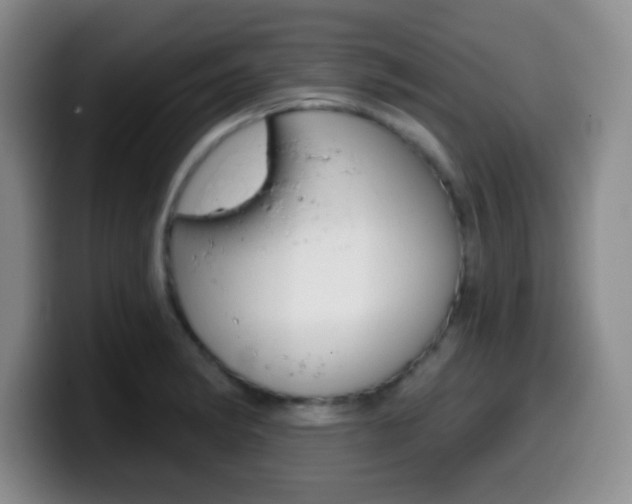 X0000099971182200805230955