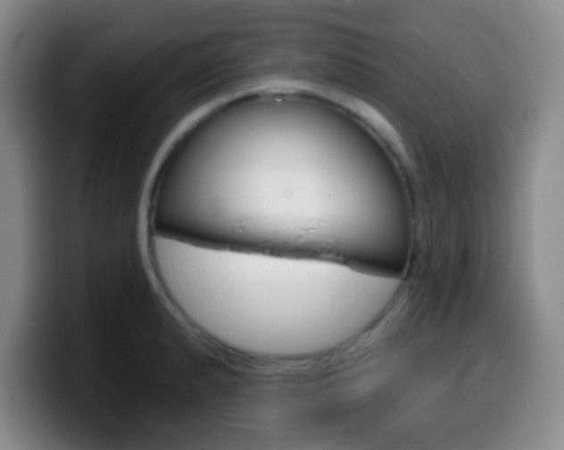 X0000099971183200805230955