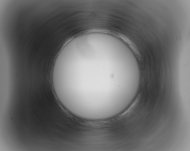 X0000099971185200805230955