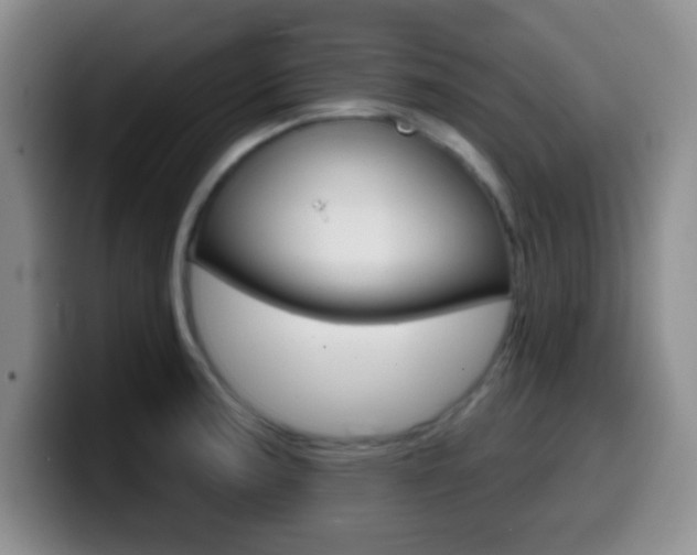 X0000099971187200805230955