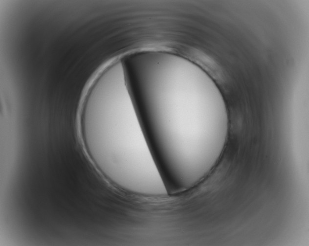 X0000099971188200805230955