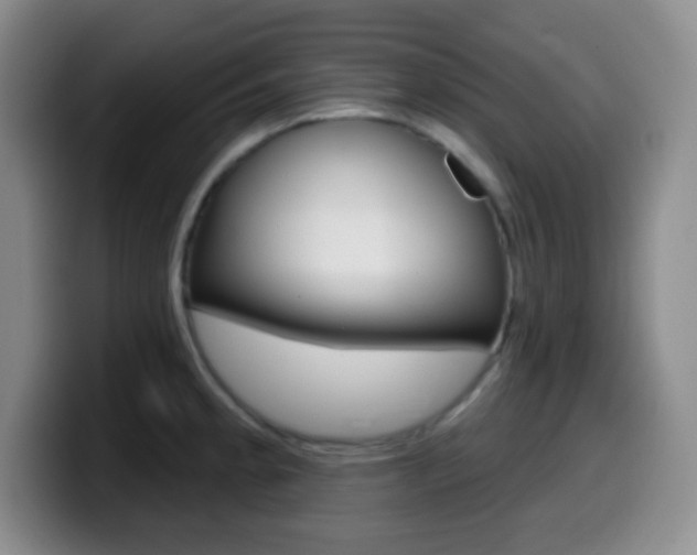 X0000099971189200805230955