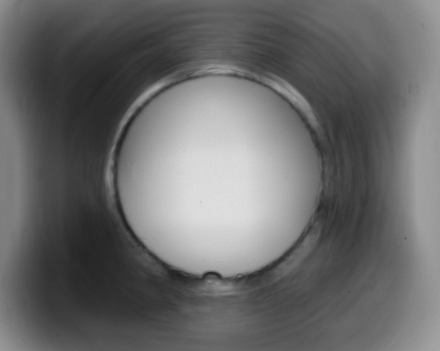 X0000099971190200805230955
