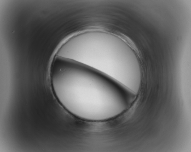 X0000099971192200805230955