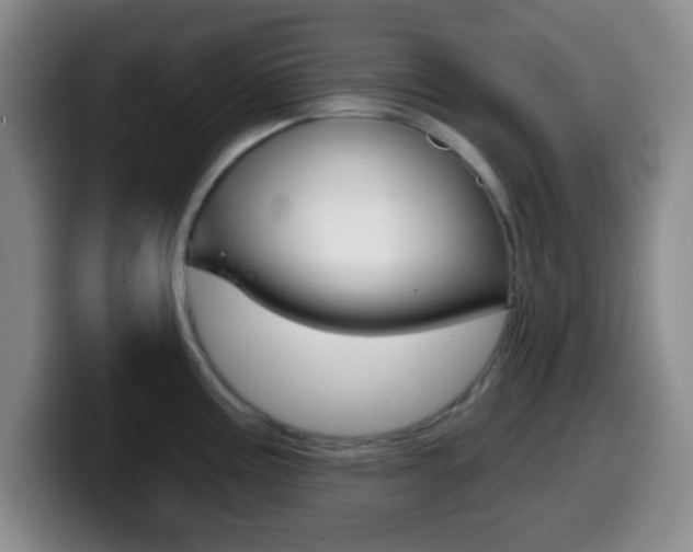 X0000099971195200805230955