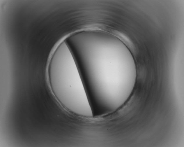 X0000099971196200805230955