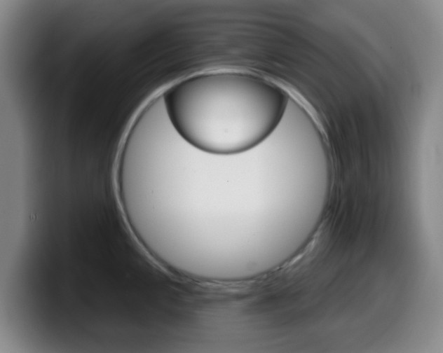 X0000099971197200805230955