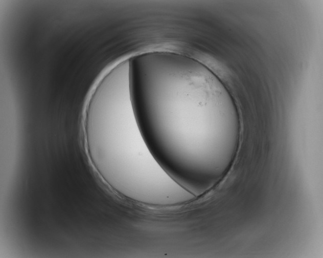 X0000099971200200805230955