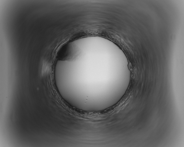 X0000099971201200805230954