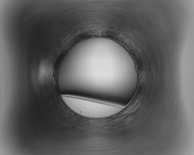 X0000099971202200805230954