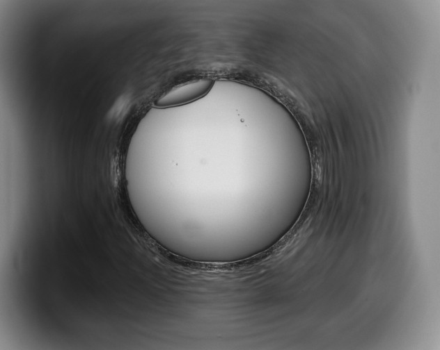 X0000099971204200805230954