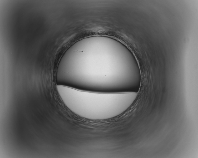 X0000099971205200805230954
