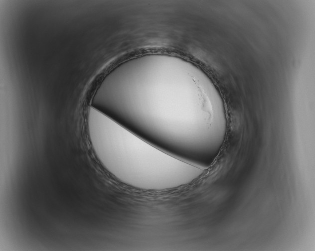 X0000099971208200805230954